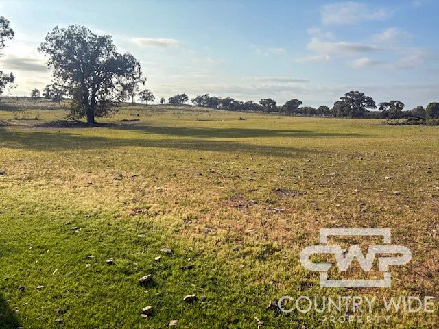 Additional image 21 of 1, - Emmaville Rd, Emmaville NSW 2371