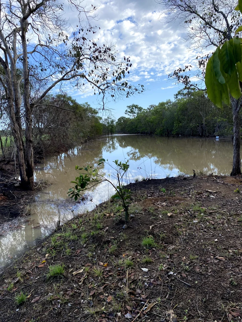 Additional image 16 of Alloway QLD 4670