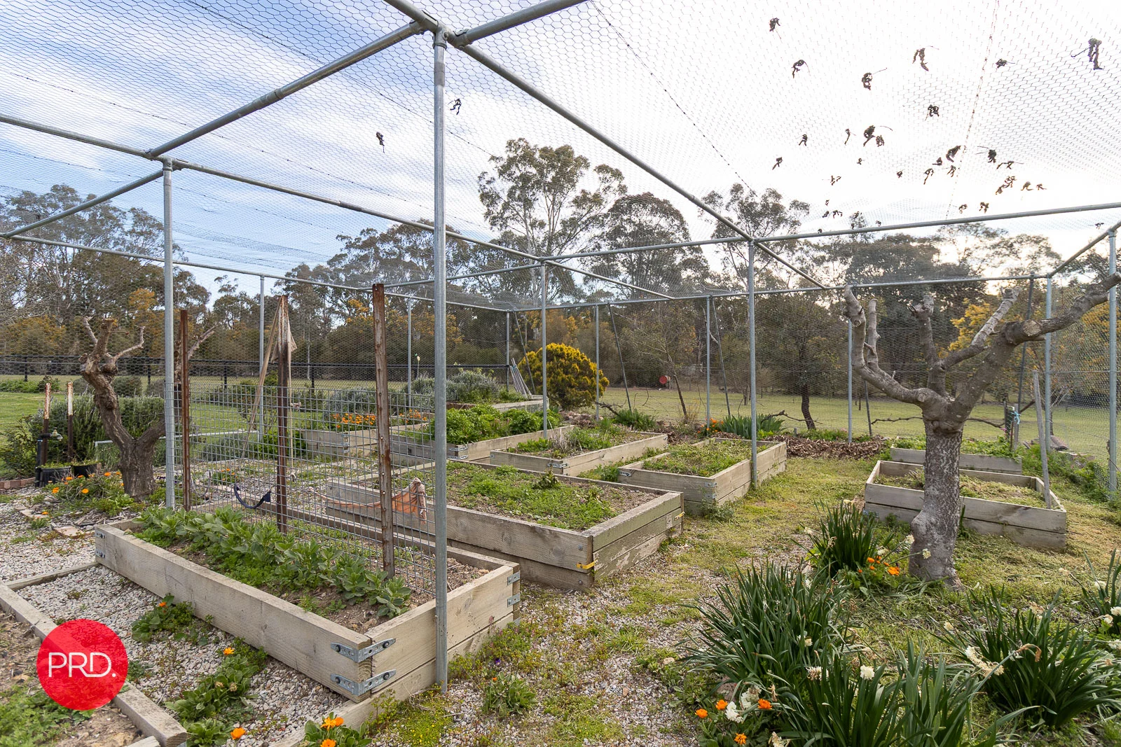 Additional image 37 of 13 Gallagher Crescent, Wamboin NSW 2620