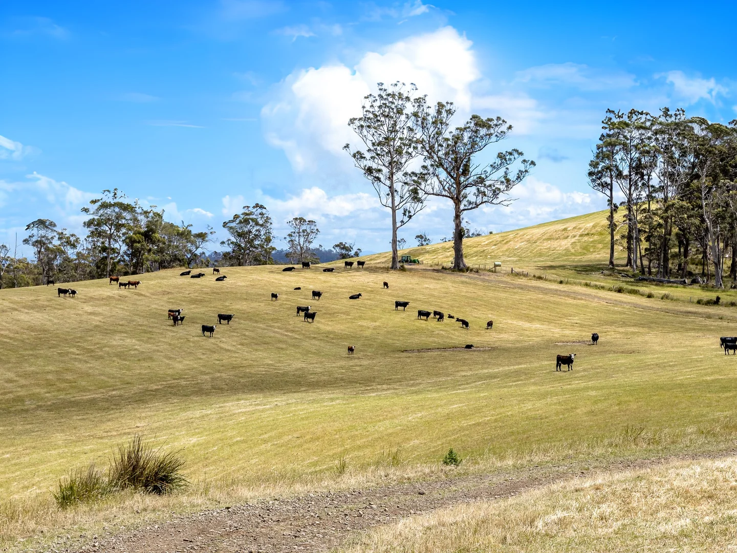 Additional image 27 of 475 Saltwater River Road, Saltwater River TAS 7186