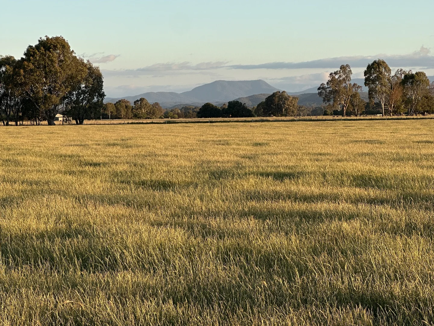 Additional image 10 of 68 Docker-Greta West Road, Docker VIC 3678