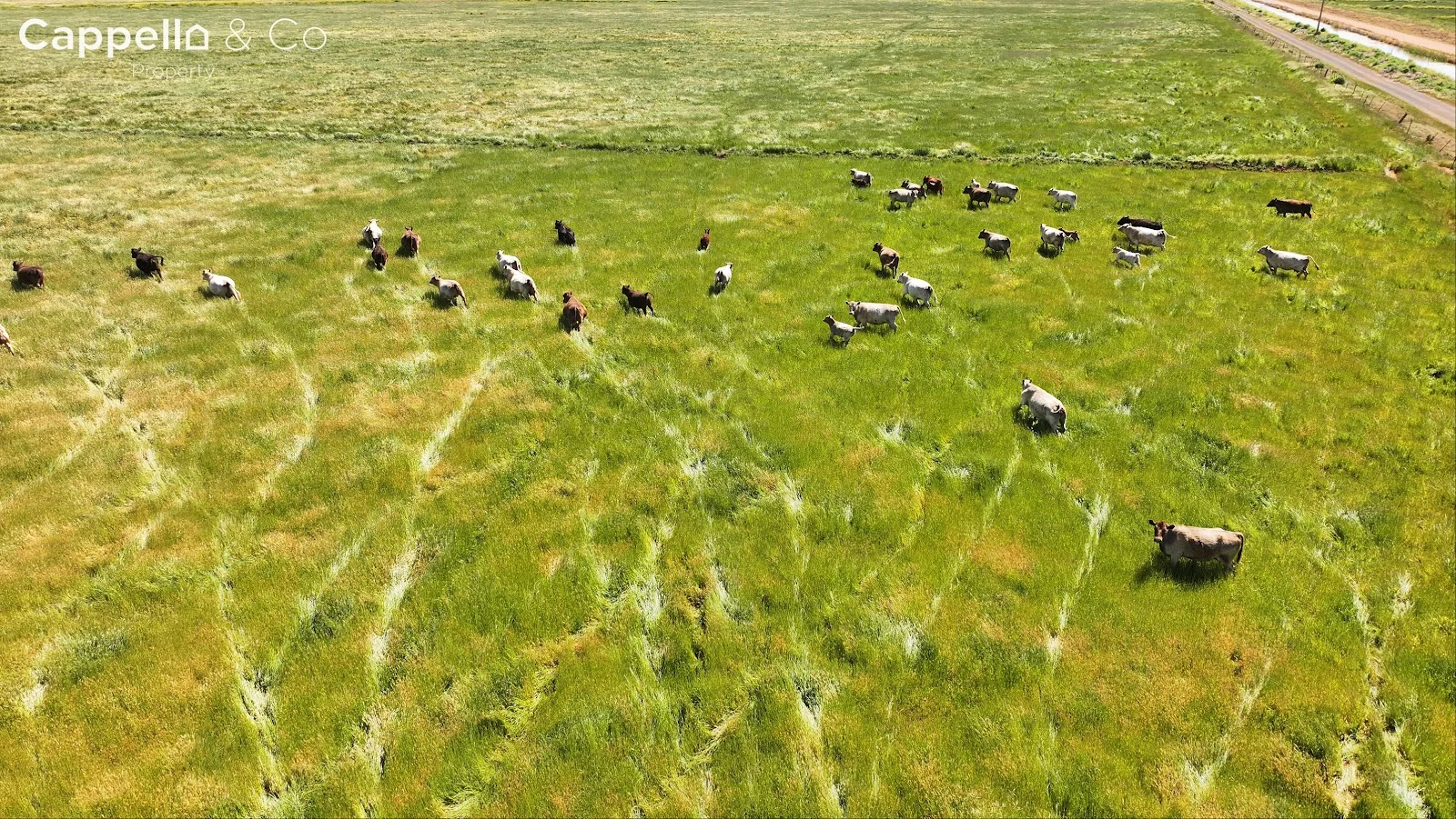 Additional image 3 of 348 Chittick Road, Warrawidgee NSW 2680