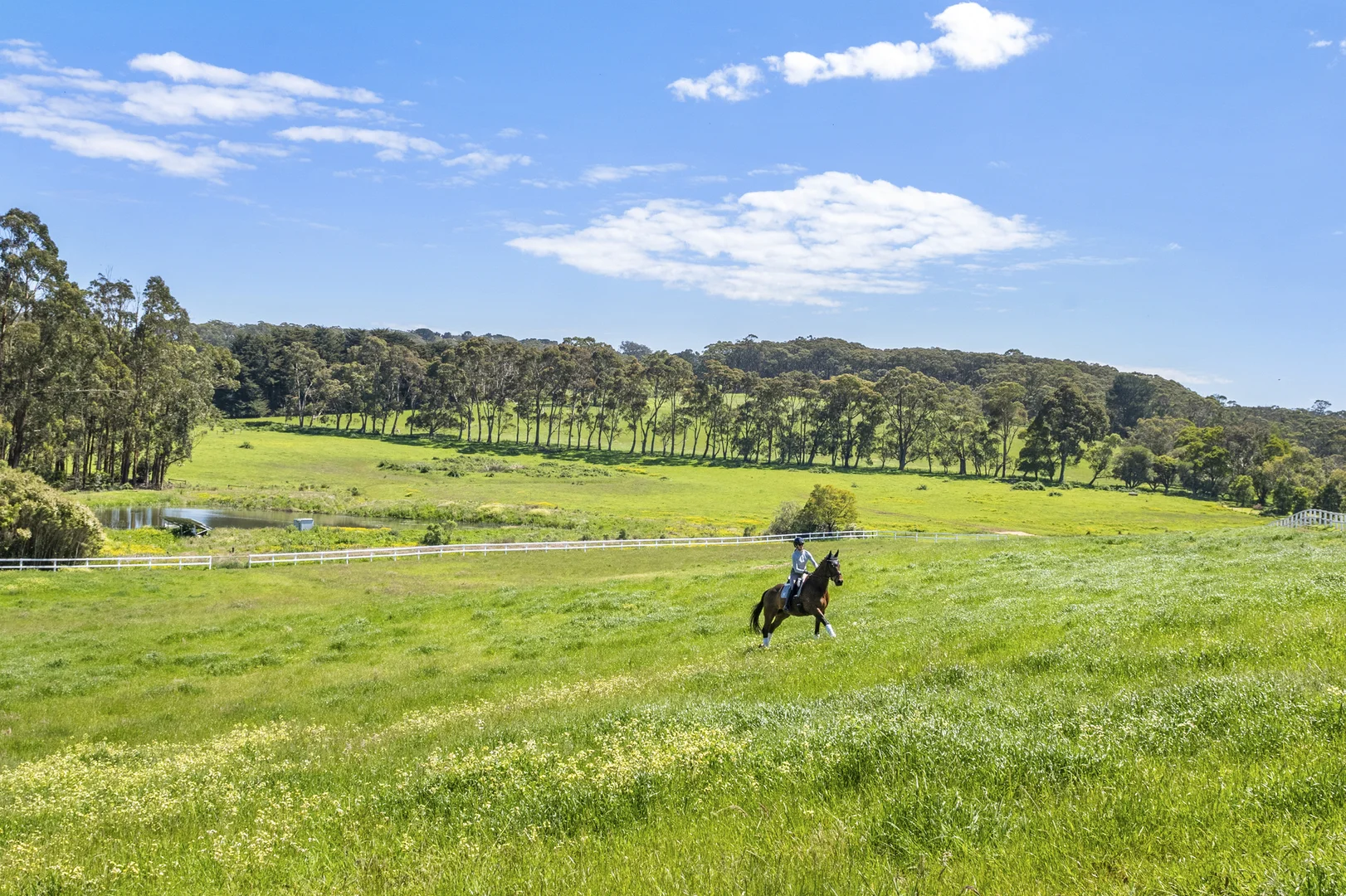 Additional image 9 of 356 Shands Road, Main Ridge VIC 3928