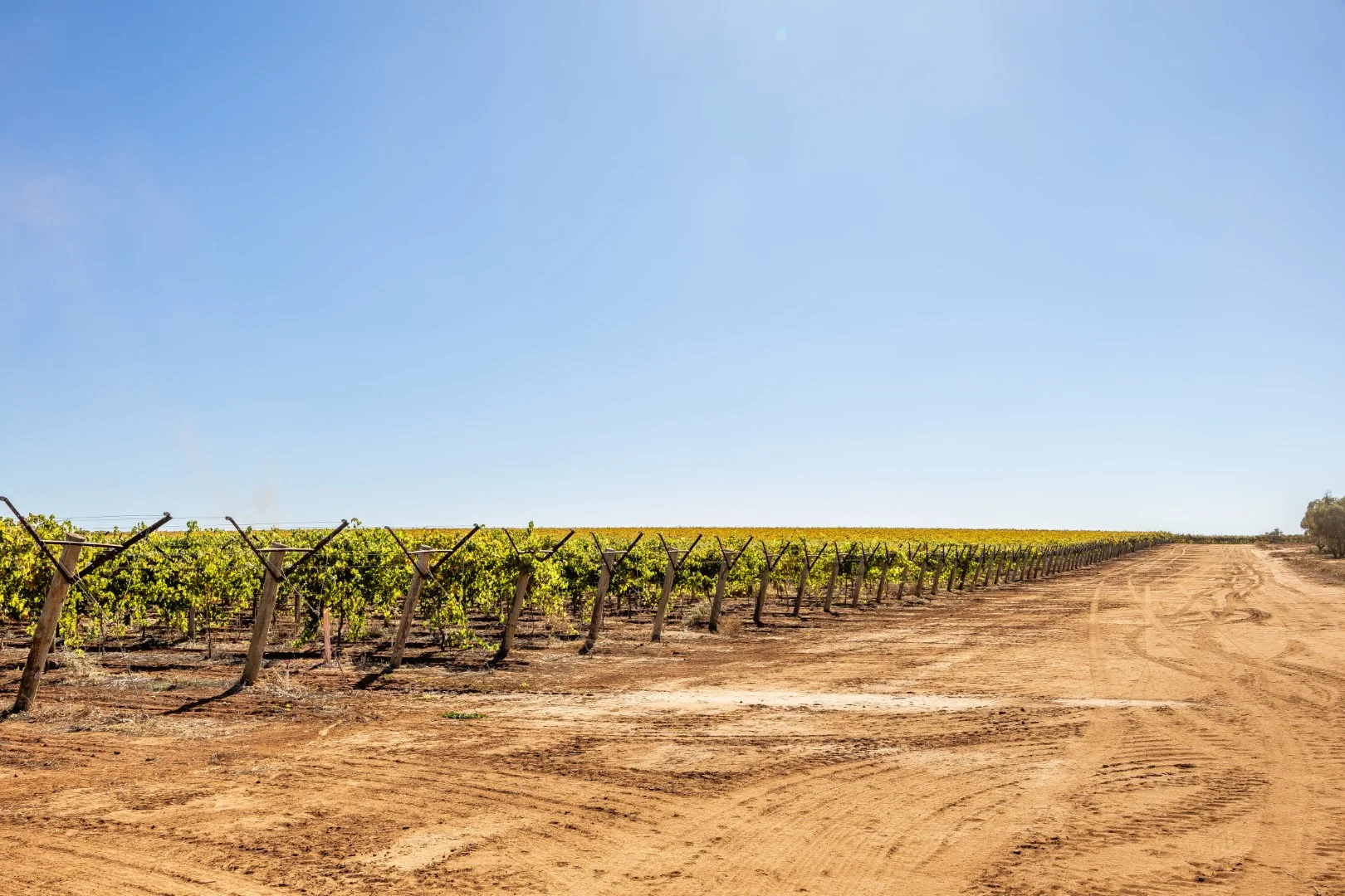 Additional image 25 of 1251 Stanitzki Road, Pike River SA 5340