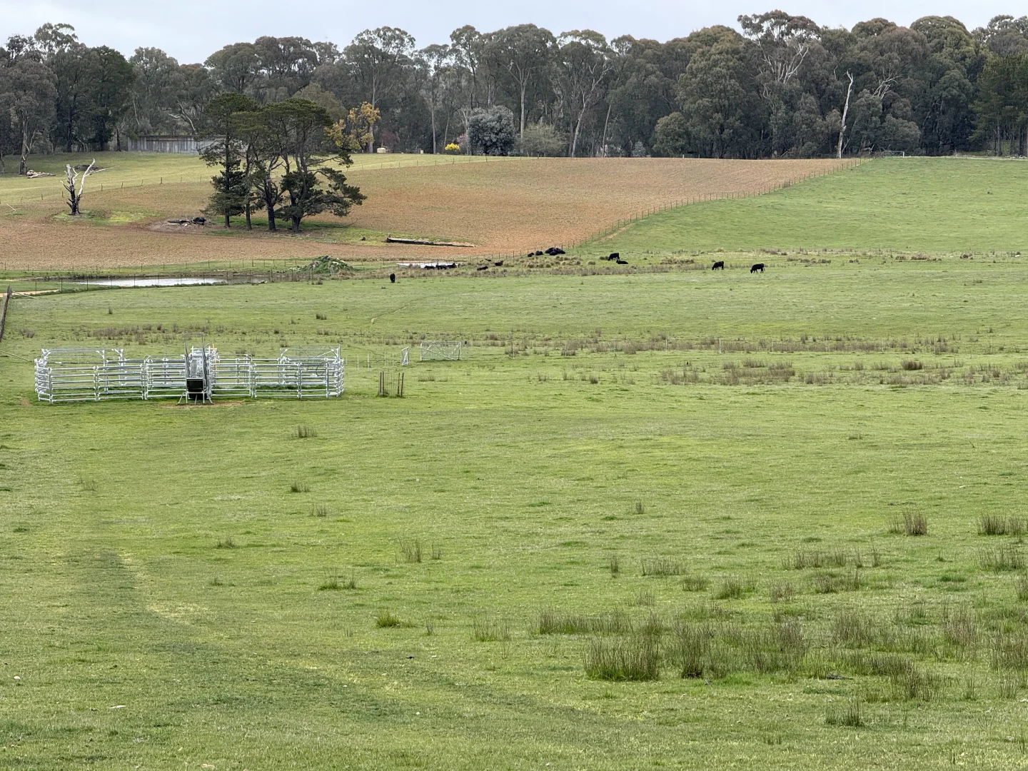 Additional image 2 of Lot 13 Rosewood Hills Road, Tumbarumba NSW 2653