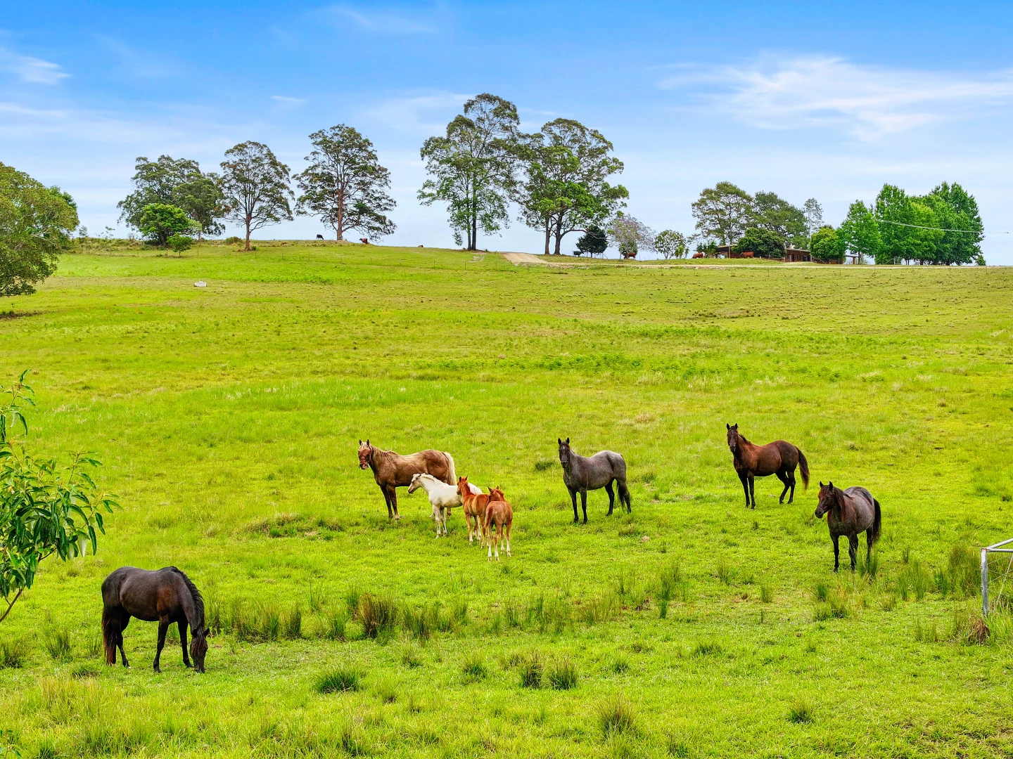 Additional image 2 of 273 Roelands Drive, Brombin NSW 2446