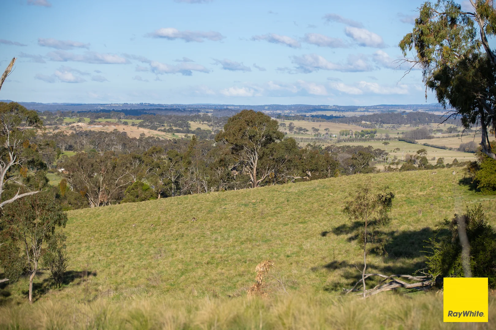 Additional image 11 of 15 Karina Close, Armidale NSW 2350