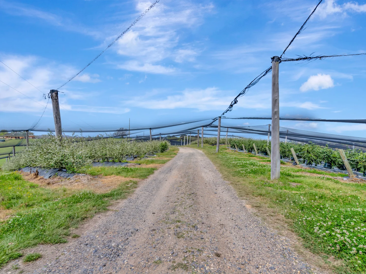 Additional image 10 of 13 Schuppe Drive, Congarinni North NSW 2447