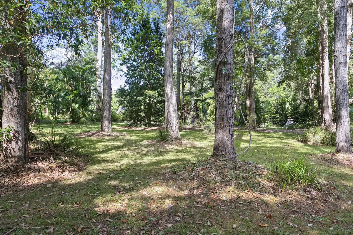 Additional image 17 of 11 Kelly Court, Lake Macdonald QLD 4563