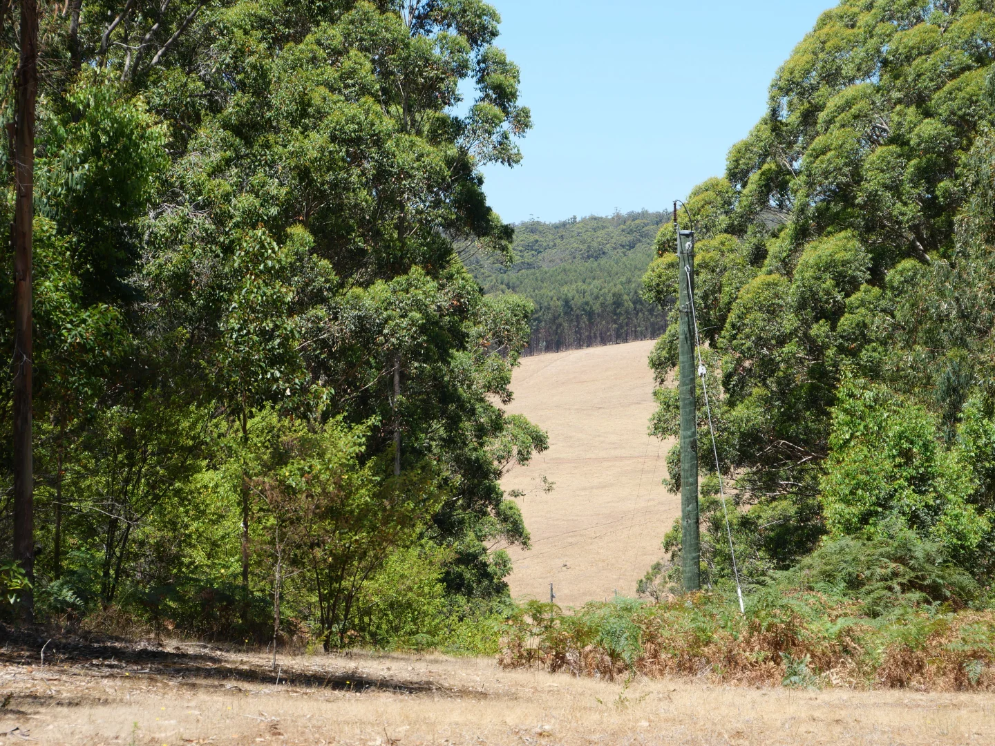 Additional image 19 of 61 Hayes Road, East Nannup WA 6275