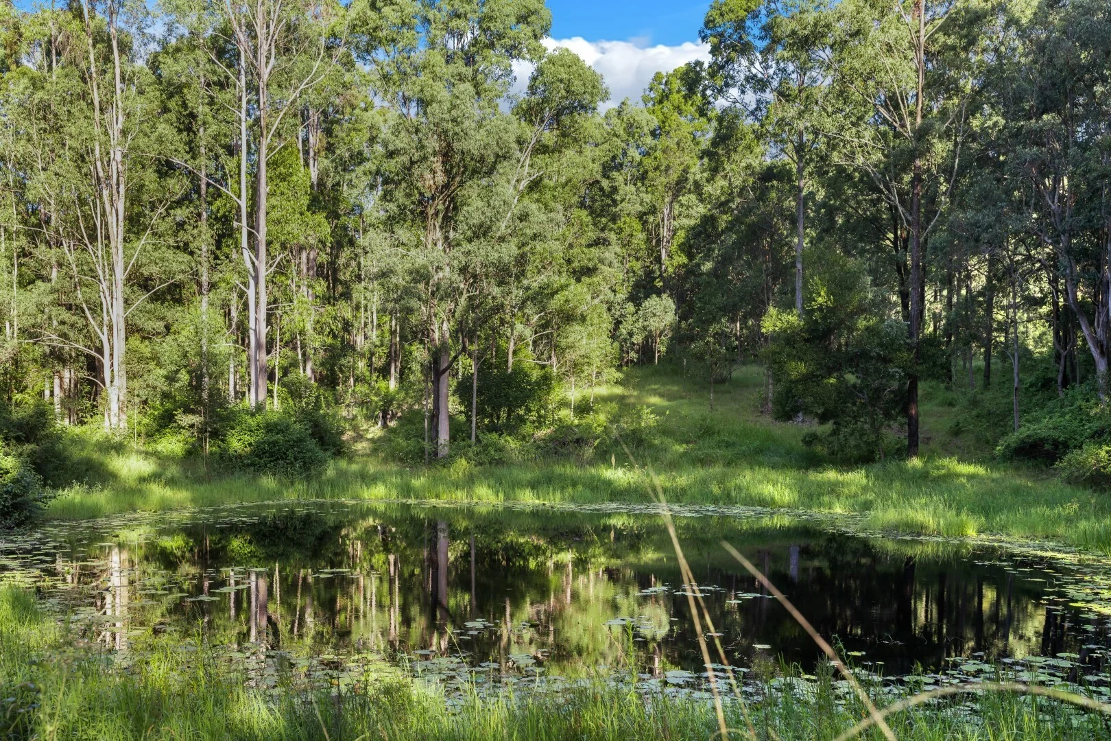 Additional image 9 of 62-69 Duck Creek Road, Bonalbo NSW 2469