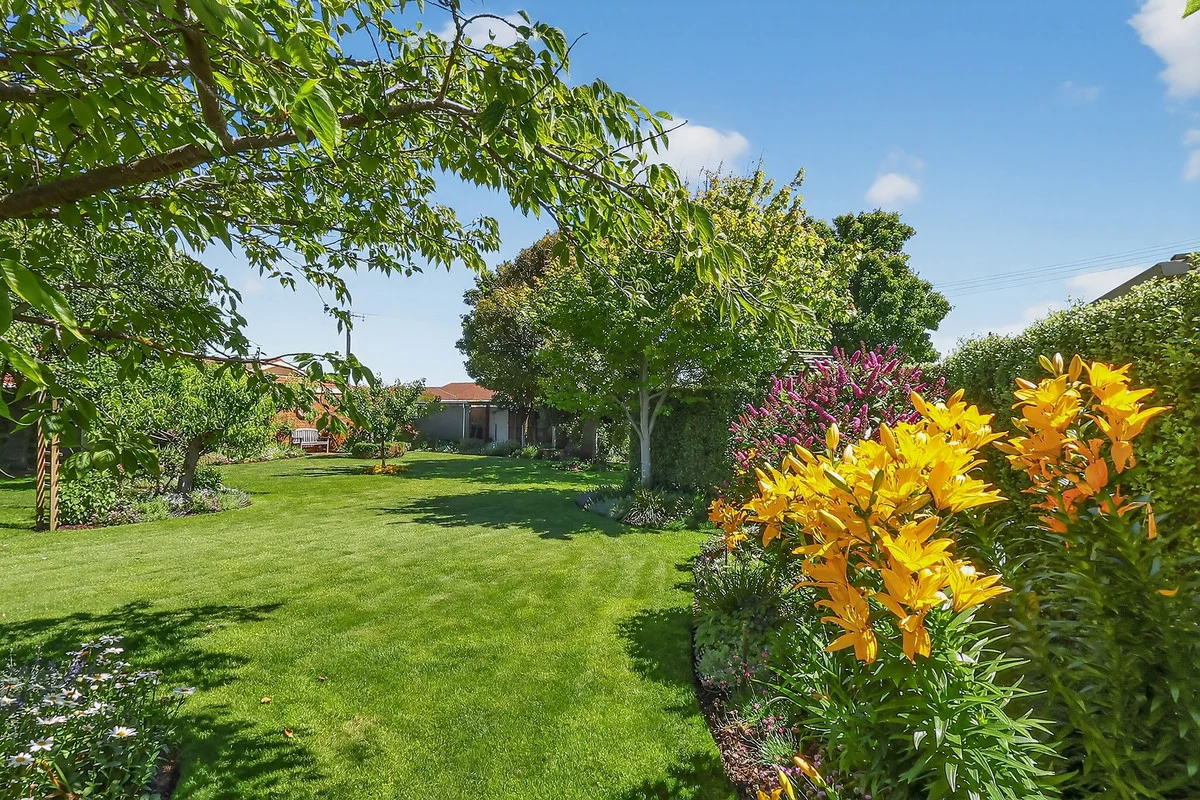 Additional image 35 of 26 Swan Street, Warrnambool VIC 3280