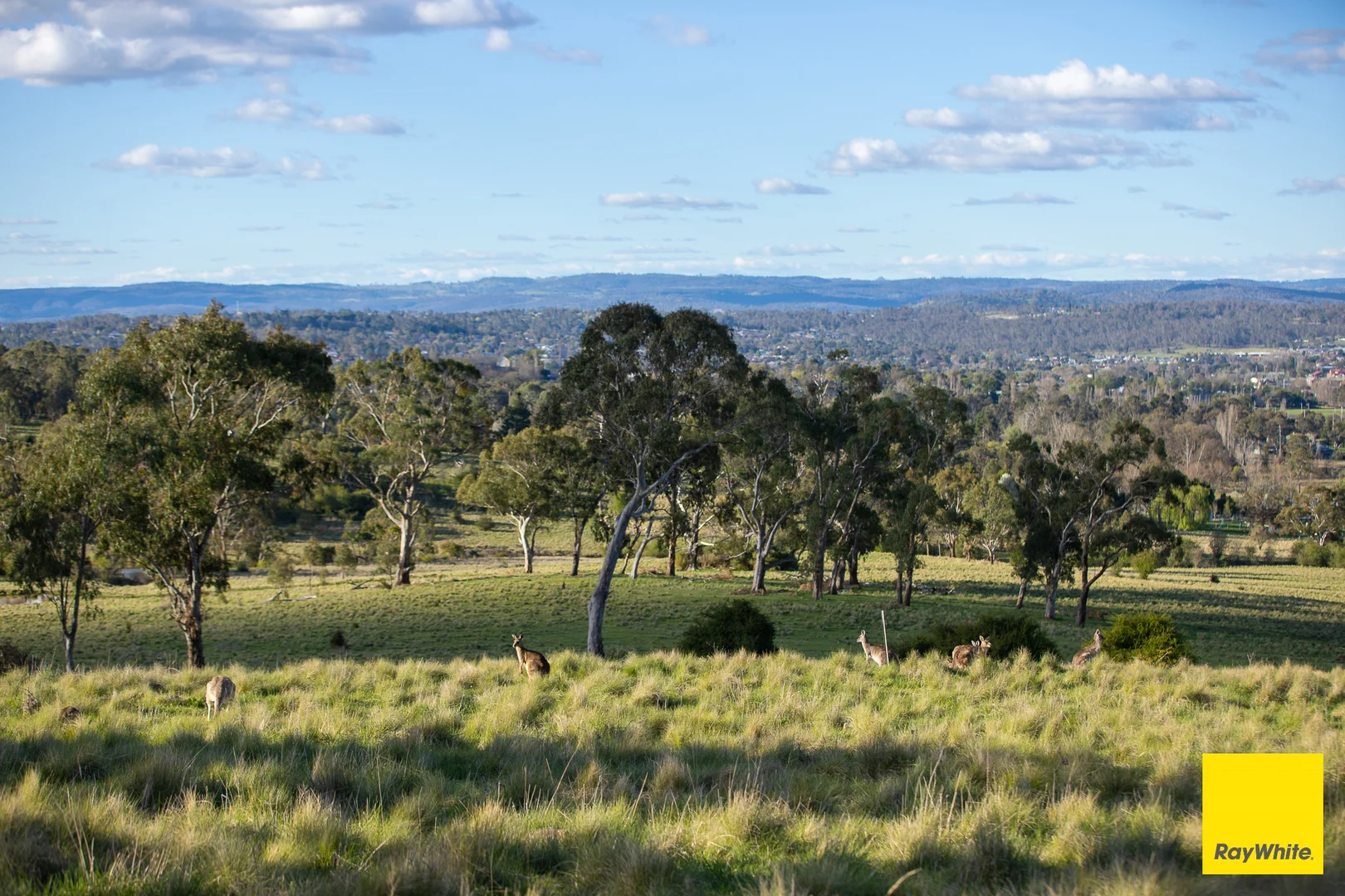 Additional image 5 of 15 Karina Close, Armidale NSW 2350