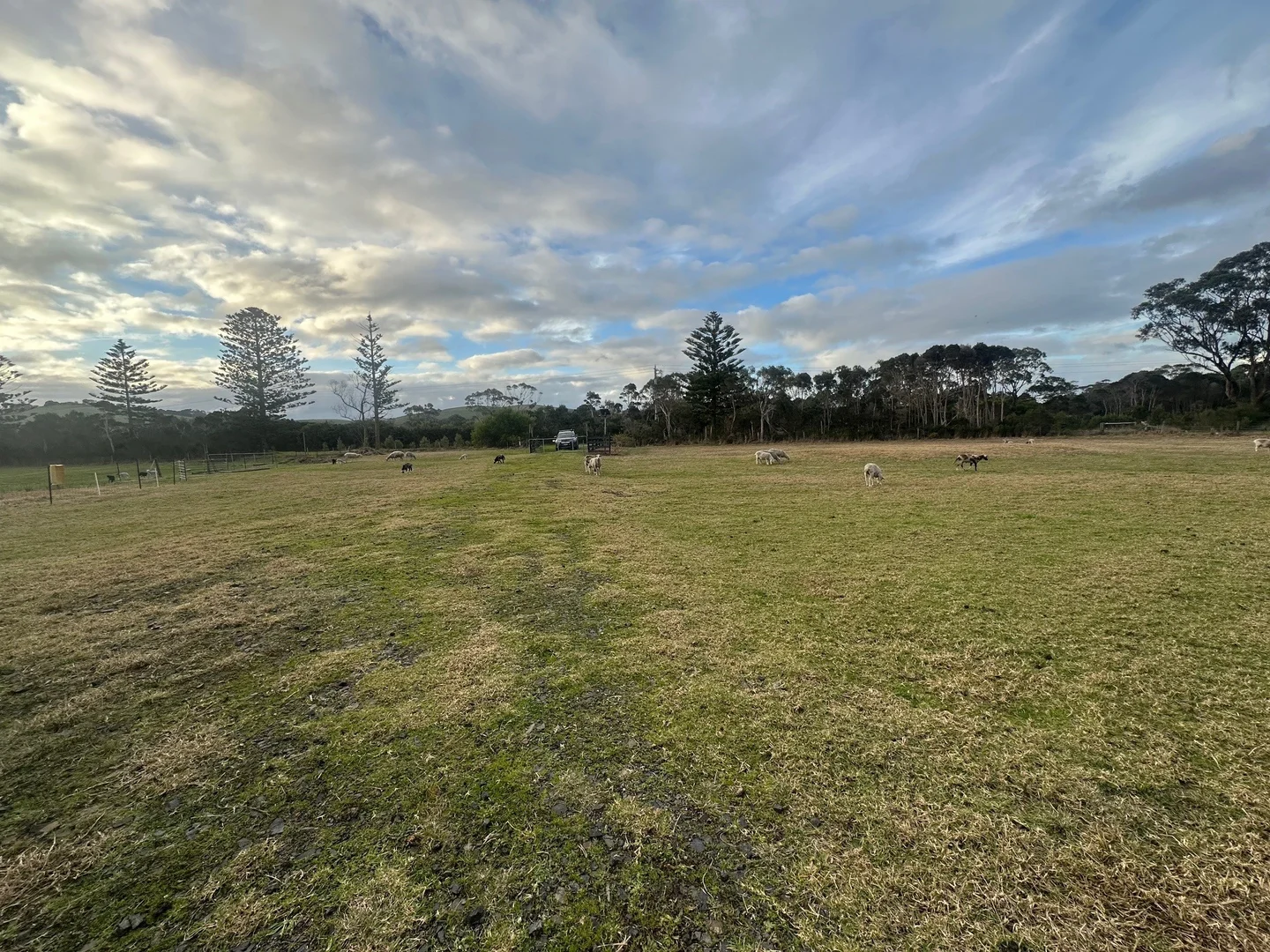 Additional image 5 of 60 Port Welshpool Road, Welshpool VIC 3966