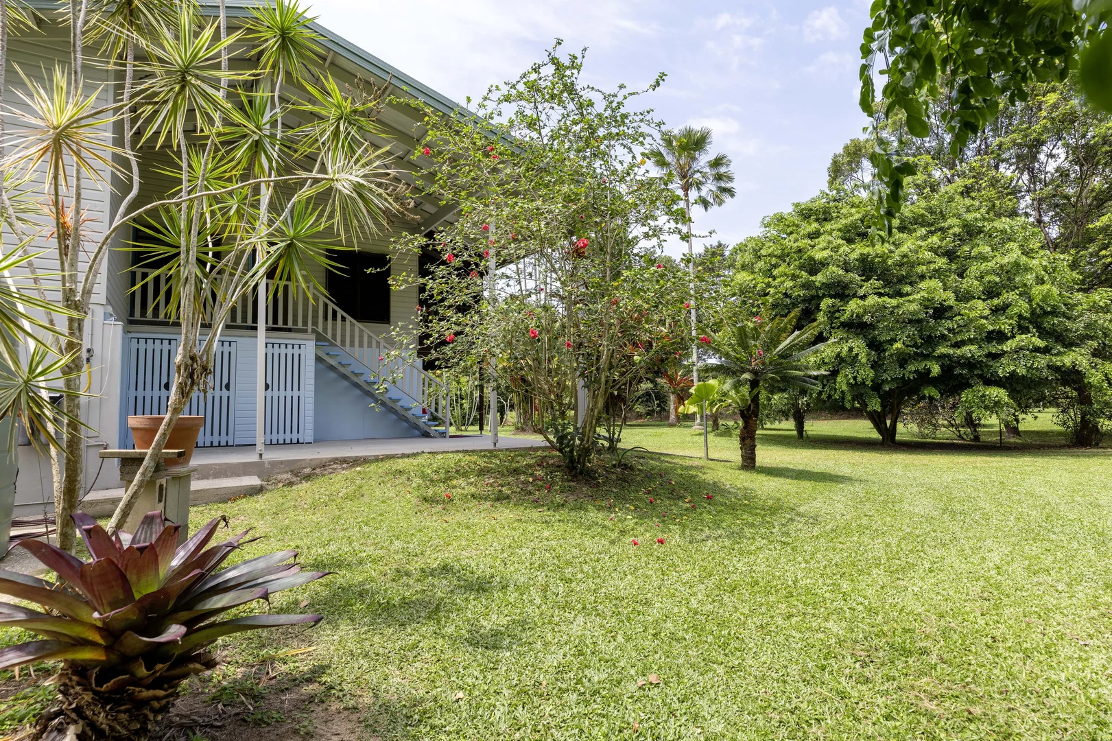Additional image 20 of 516 Whyanbeel Road, Whyanbeel, Mossman QLD 4873