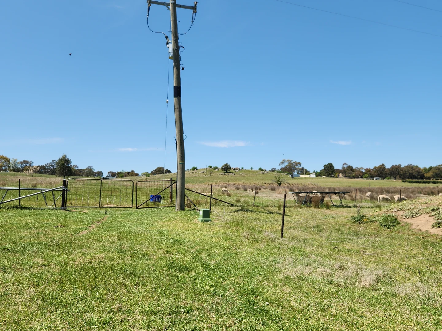 Additional image 6 of 225 Belmore Road, Young NSW 2594