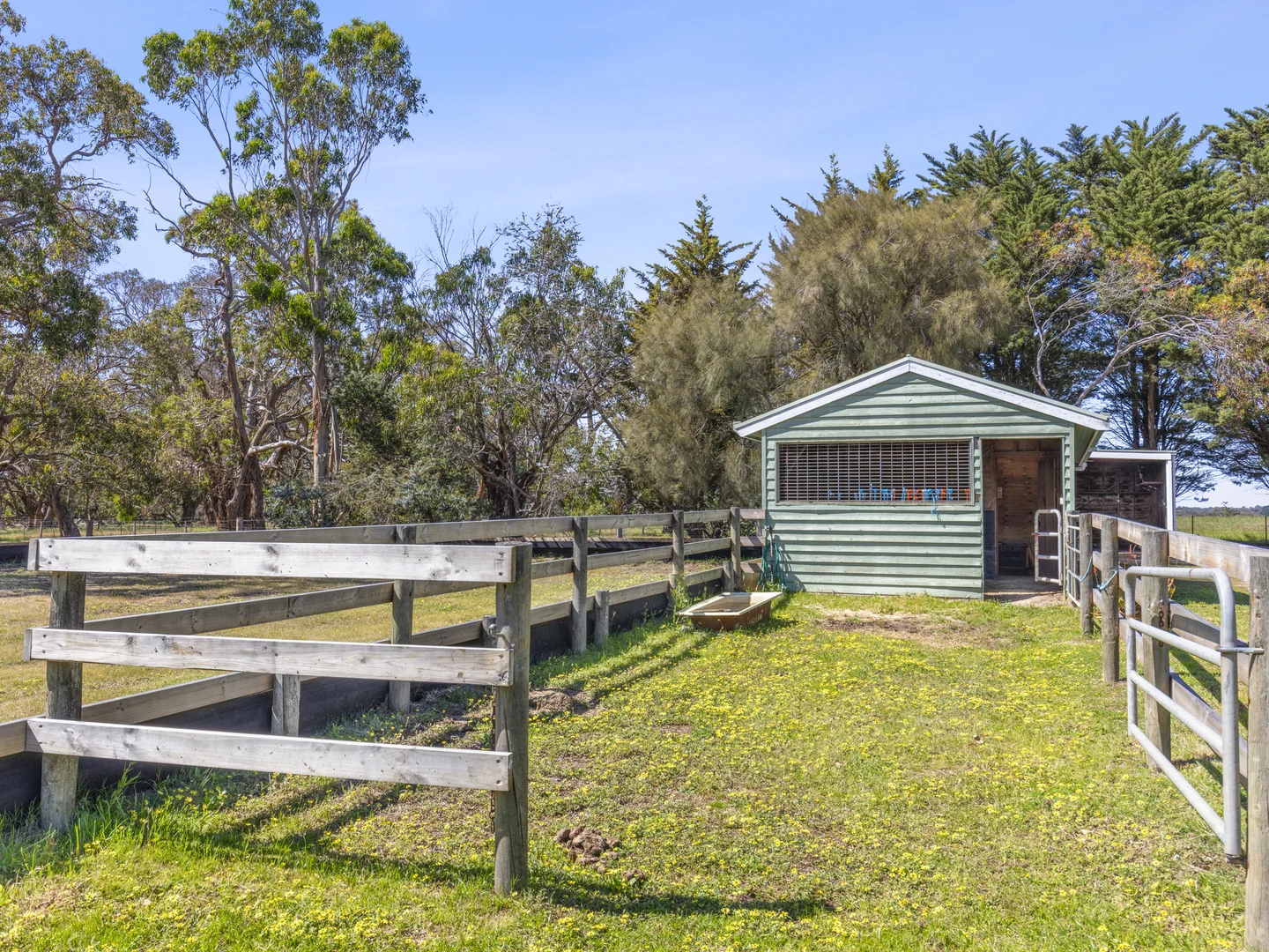 Additional image 27 of 850 Pettavel Road, Freshwater Creek VIC 3217