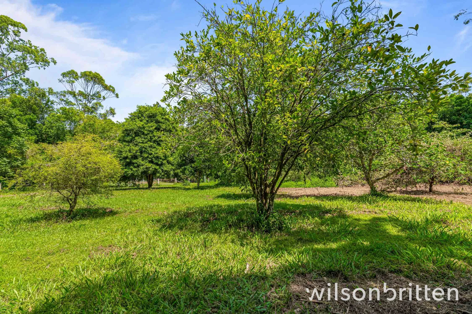 Additional image 16 of 132 Wilkinson Road, Martinsville NSW 2265