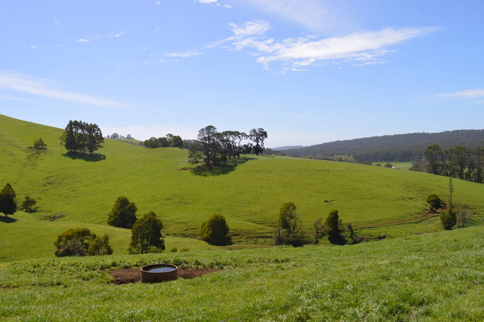 Additional image 5 of 365 Limonite Road, Boolarra South VIC 3870