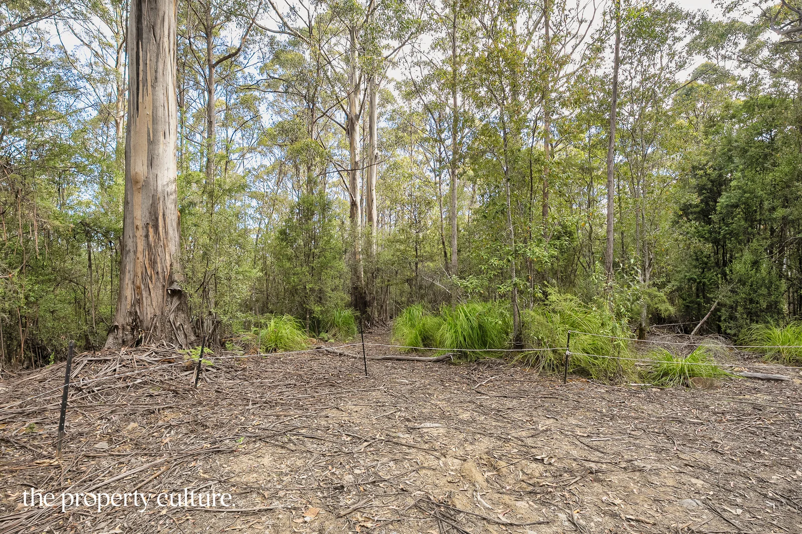 Additional image 8 of 2 Tobys Hill Rd, Cygnet TAS 7112