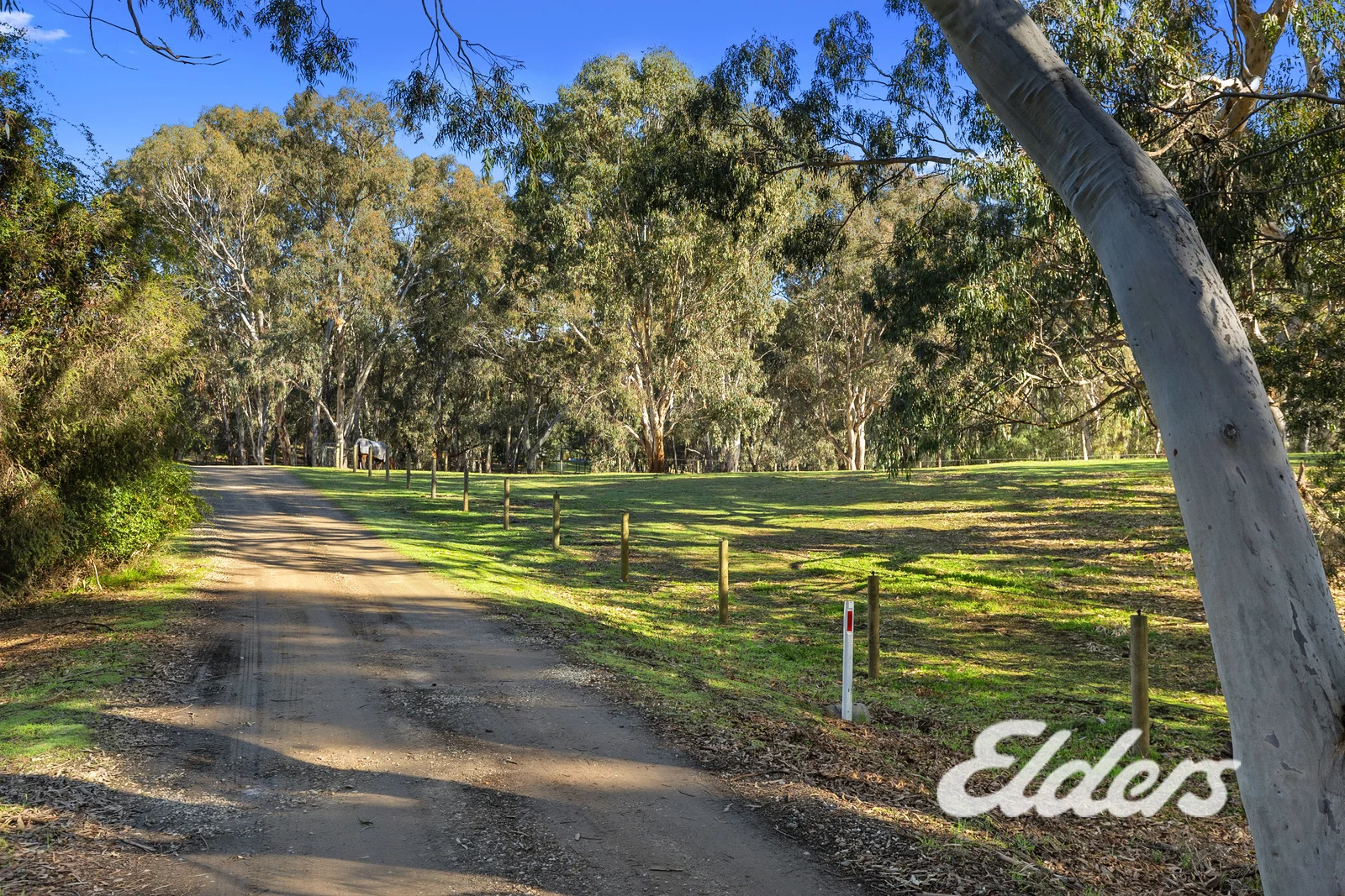 Additional image 29 of 69-73 Pimpala Crescent, Mulwala NSW 2647