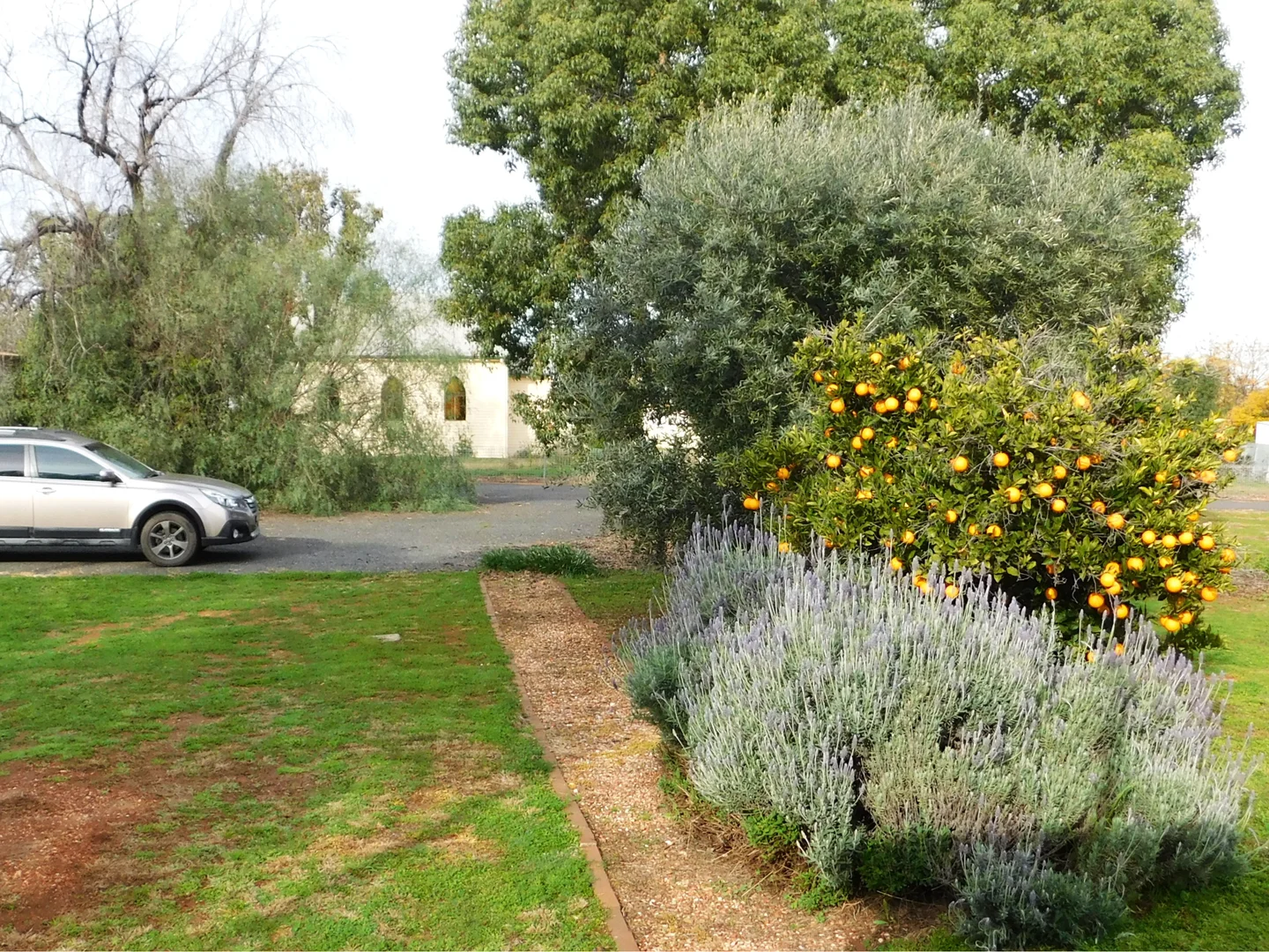 Additional image 14 of 102 Umang Street, Tottenham NSW 2873