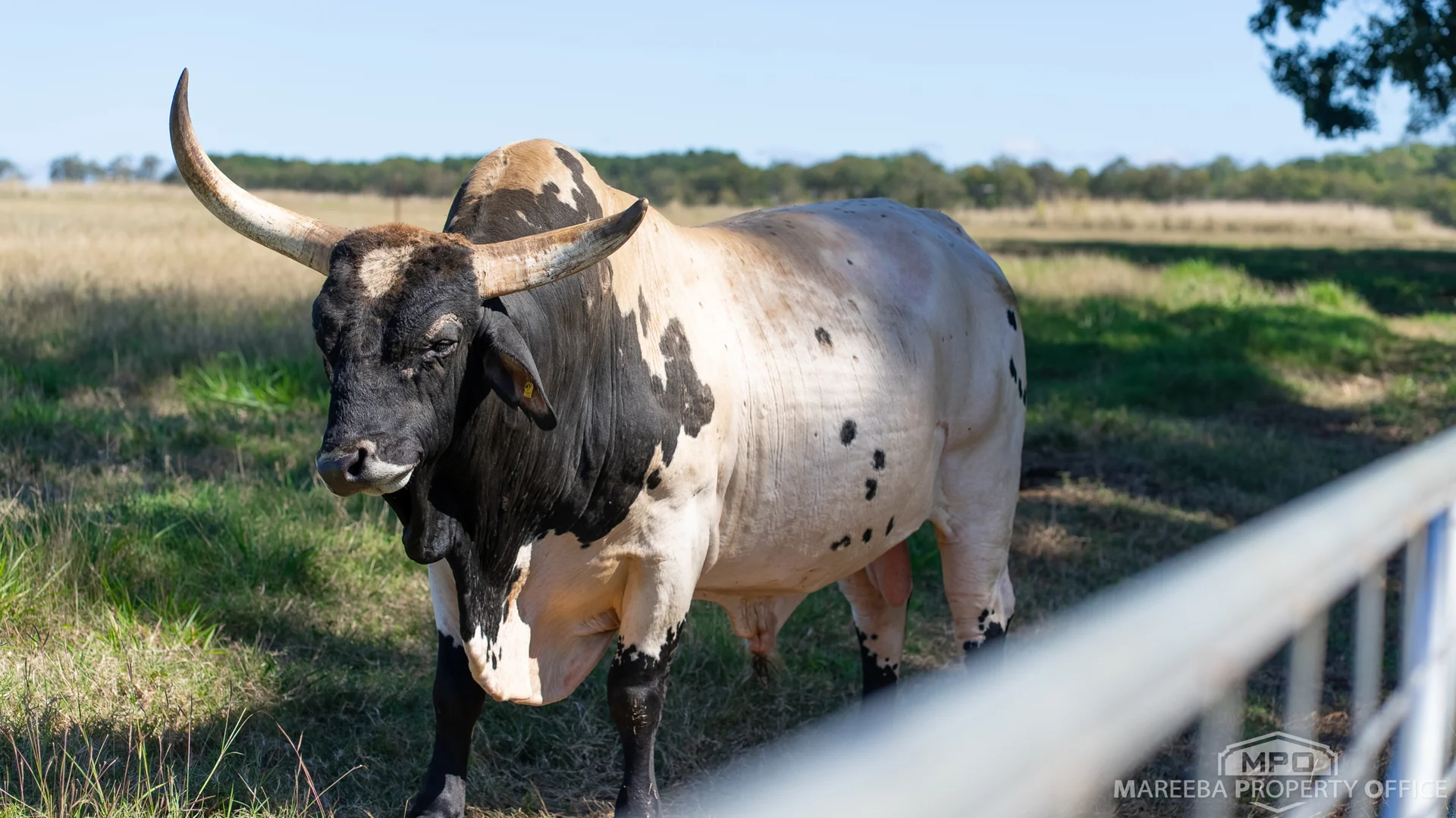 Additional image 61 of 76 Davies Creek Road, Mareeba QLD 4880