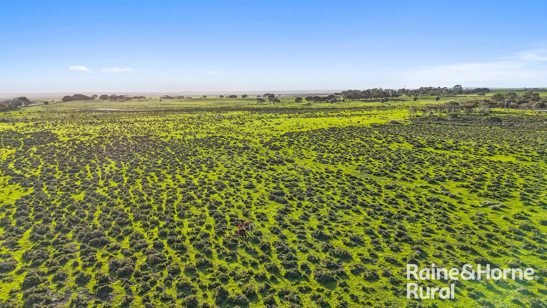 Additional image 18 of Lot 3 Flagstaff Road, Wellington SA 5259