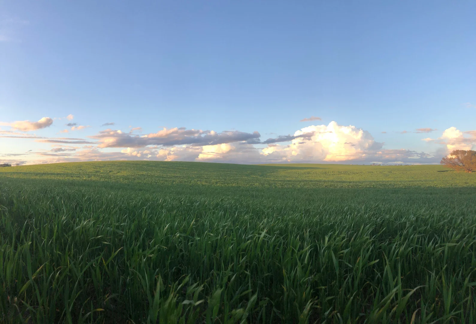 Additional image 17 of 163 McAskill Road, Karkoo SA 5632