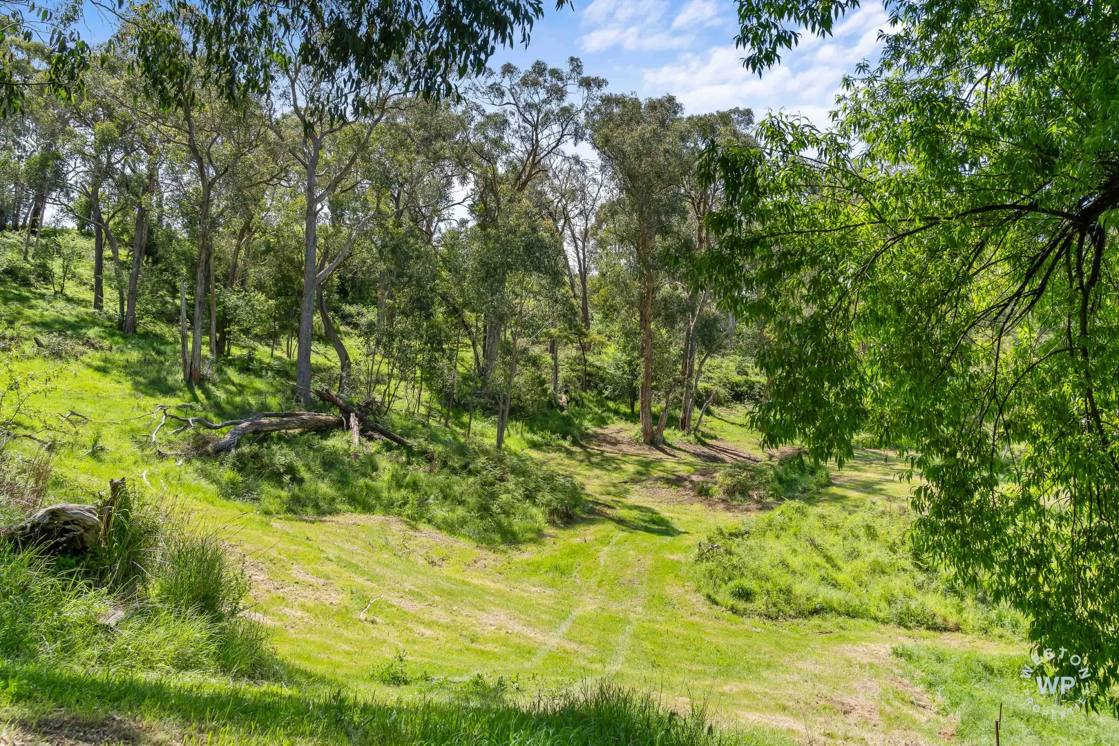 Additional image 18 of 255 Sturt Valley Road, Upper Sturt SA 5156