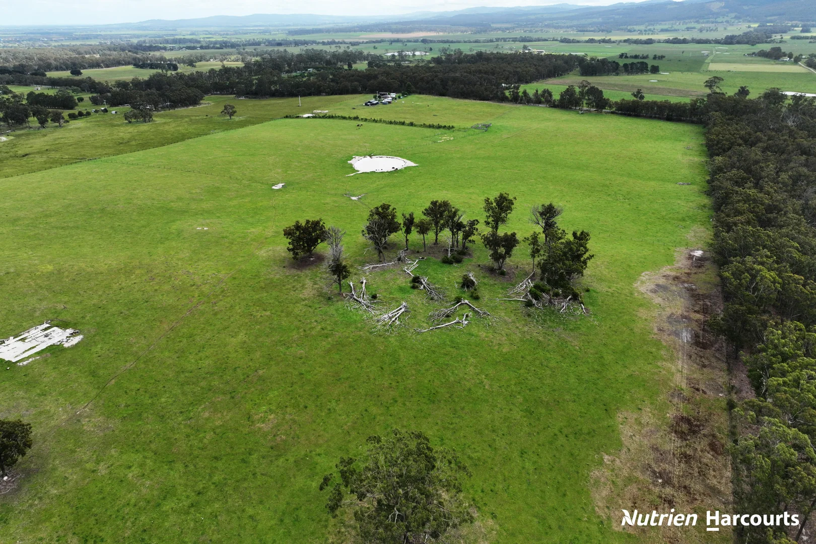 Additional image 6 of Lot2/LP122970 Hyland Highway, Won Wron VIC 3971