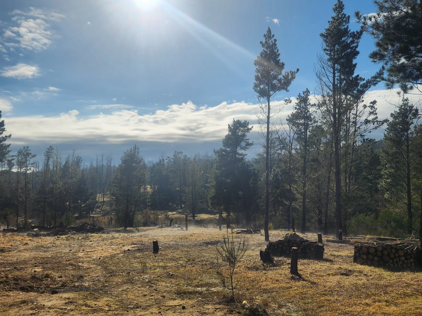 Additional image 22 of 480 Tall Timbers Road, Tomboye NSW 2622