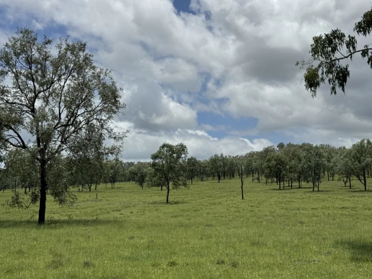 Additional image 28 of 2655 Clonmel Road, Monto QLD 4630