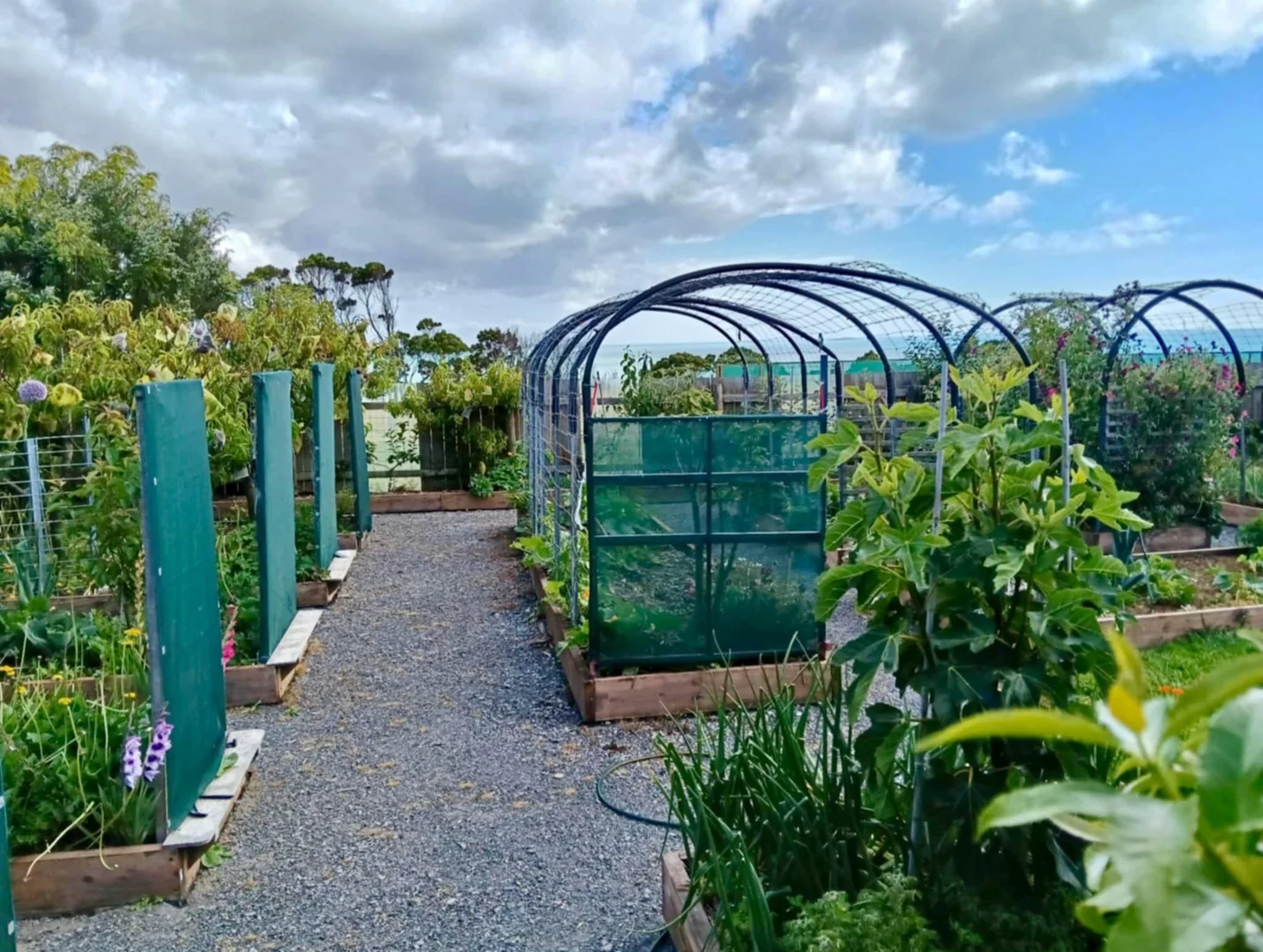 Additional image 19 of 23 Skyline Drive, Naracoopa TAS 7256