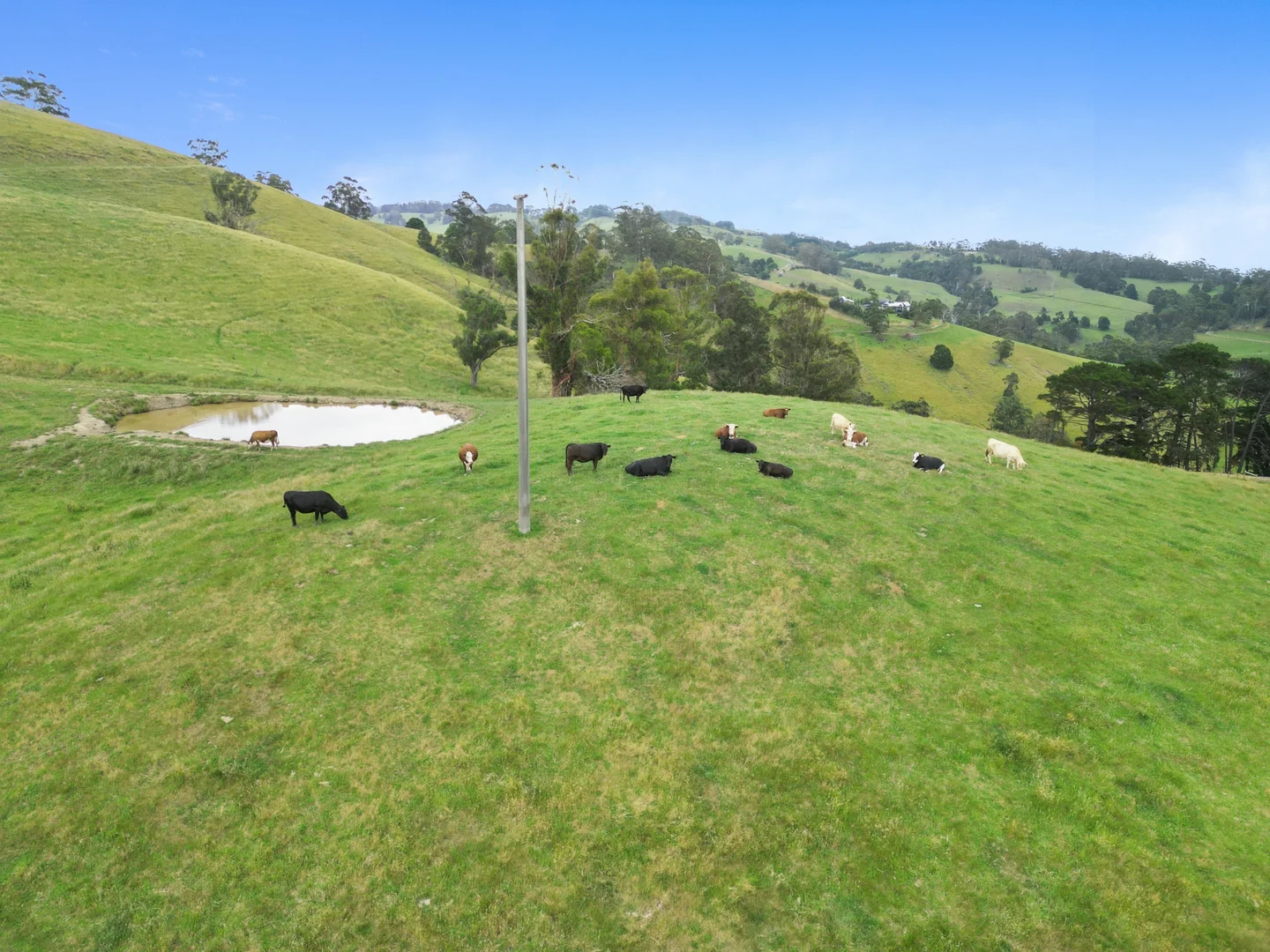 Additional image 9 of 283 Yarragon South Road, Yarragon South VIC 3823