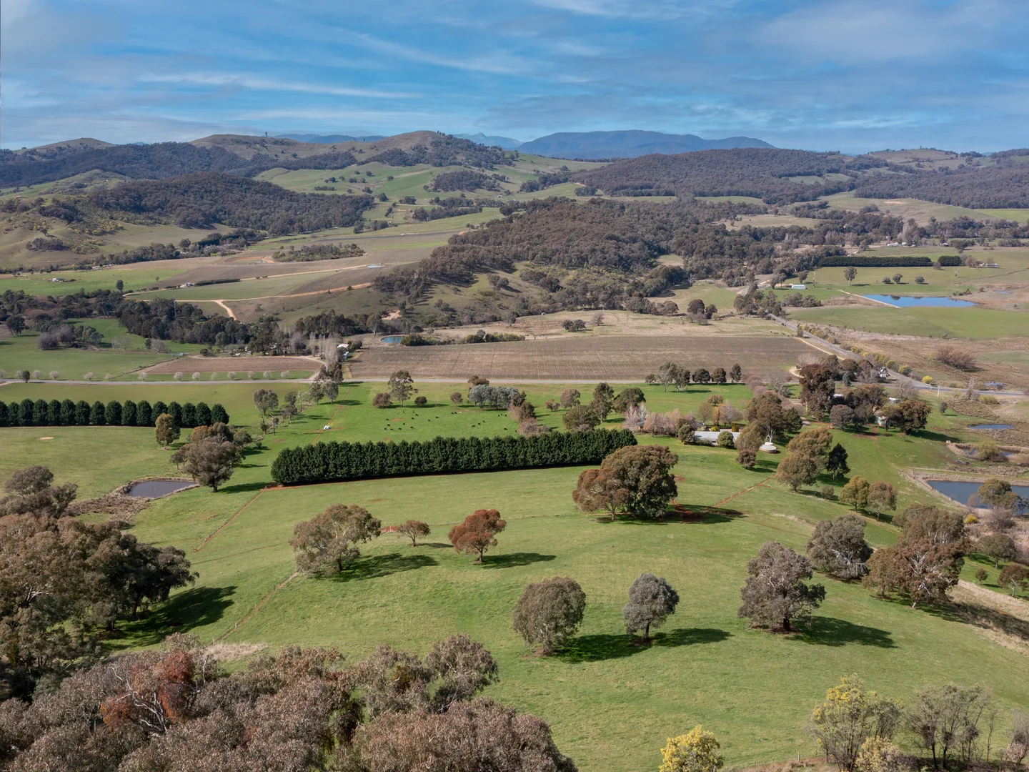 Additional image 32 of 1694 Boggy Creek Road, Myrrhee VIC 3732