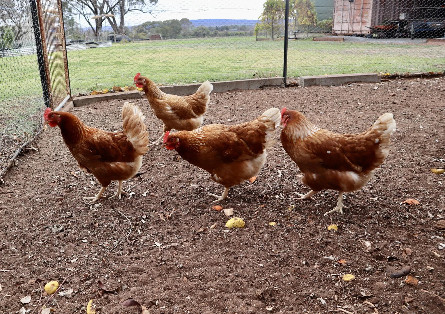 Additional image 32 of 114 Tabain Rd, Merungle Hill NSW 2705