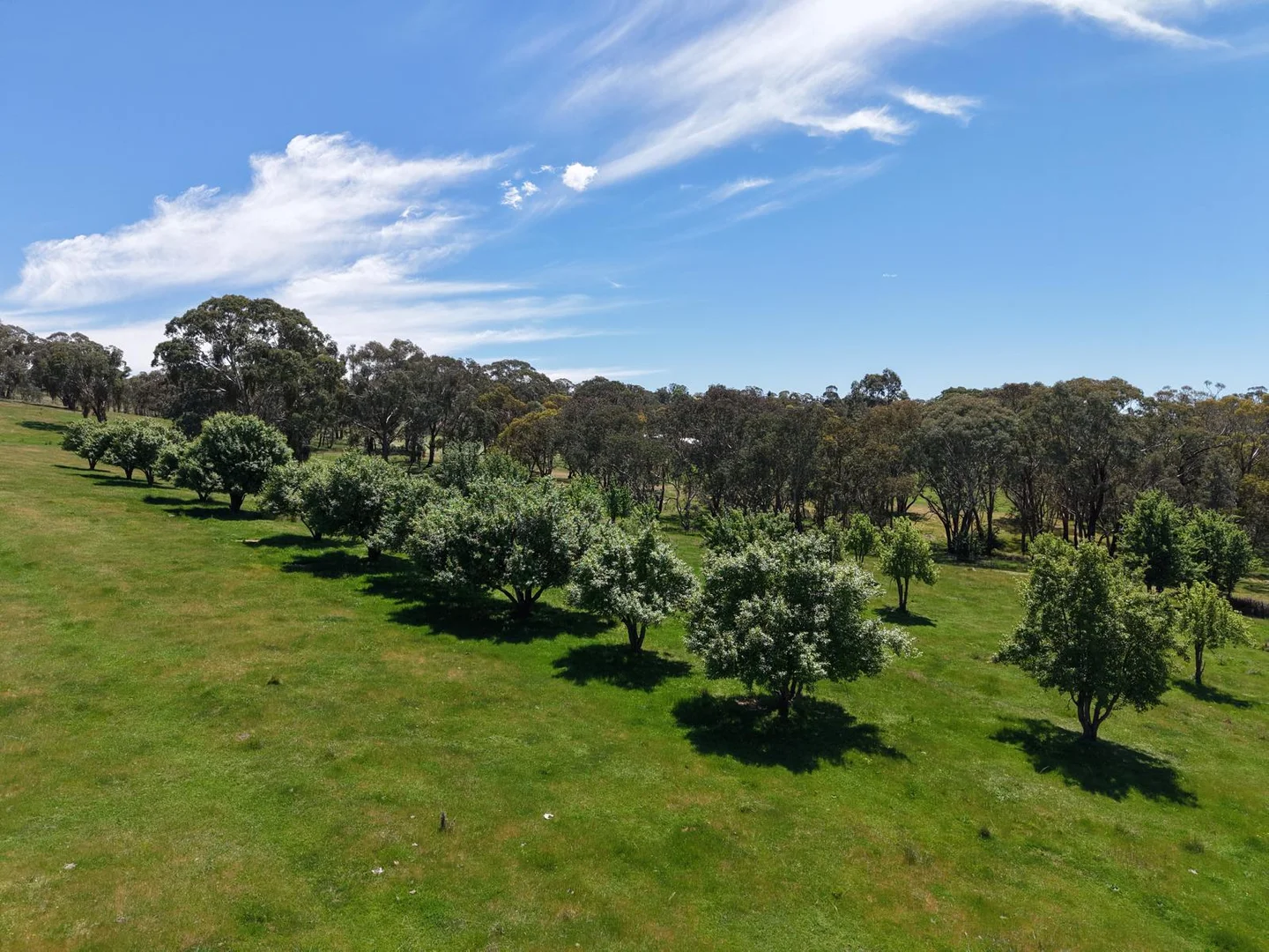 Additional image 4 of Burke Street, Lyndhurst NSW 2797