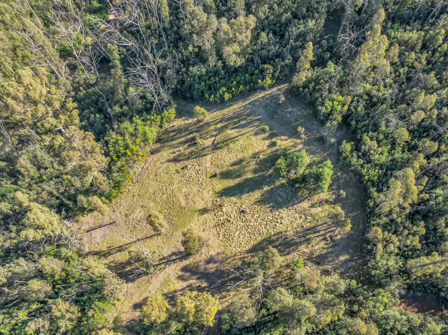 Additional image 2 of 15/752167&1/1089730 Illawambra Valley Road, Yowrie NSW 2550