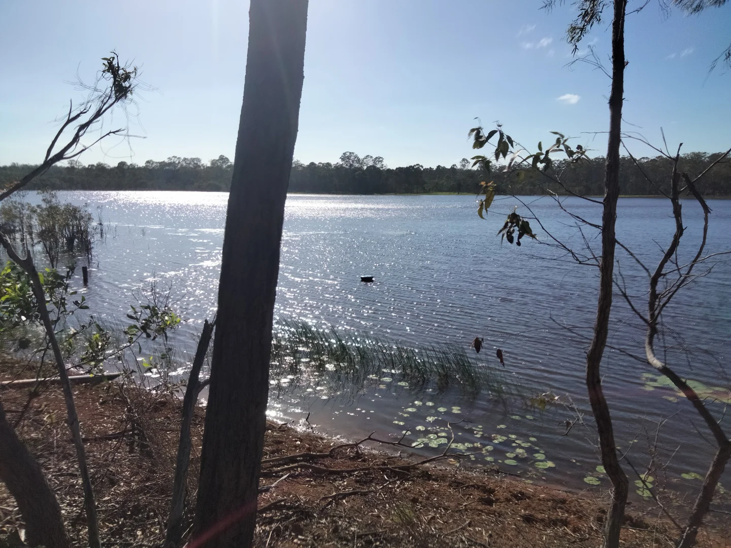 Additional image 71 of 2913 Rosedale Road, Yandaran QLD 4673