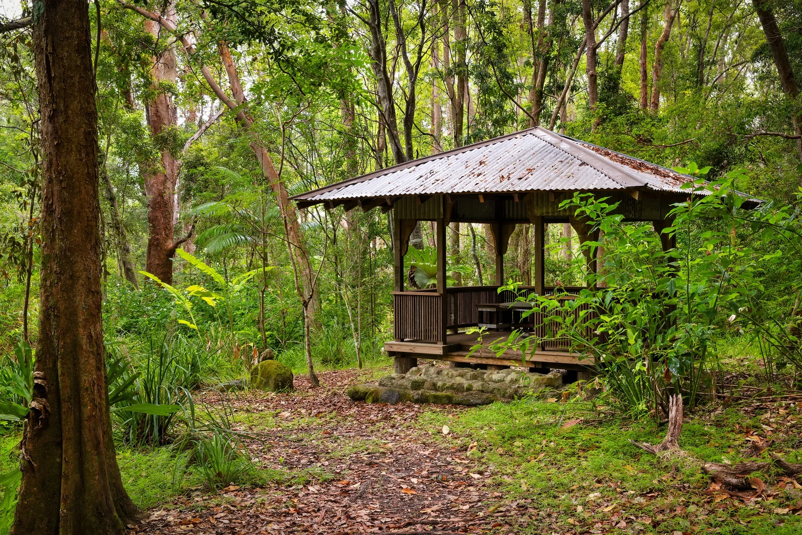Additional image 28 of 715 Left Bank Road, Mullumbimby Creek NSW 2482