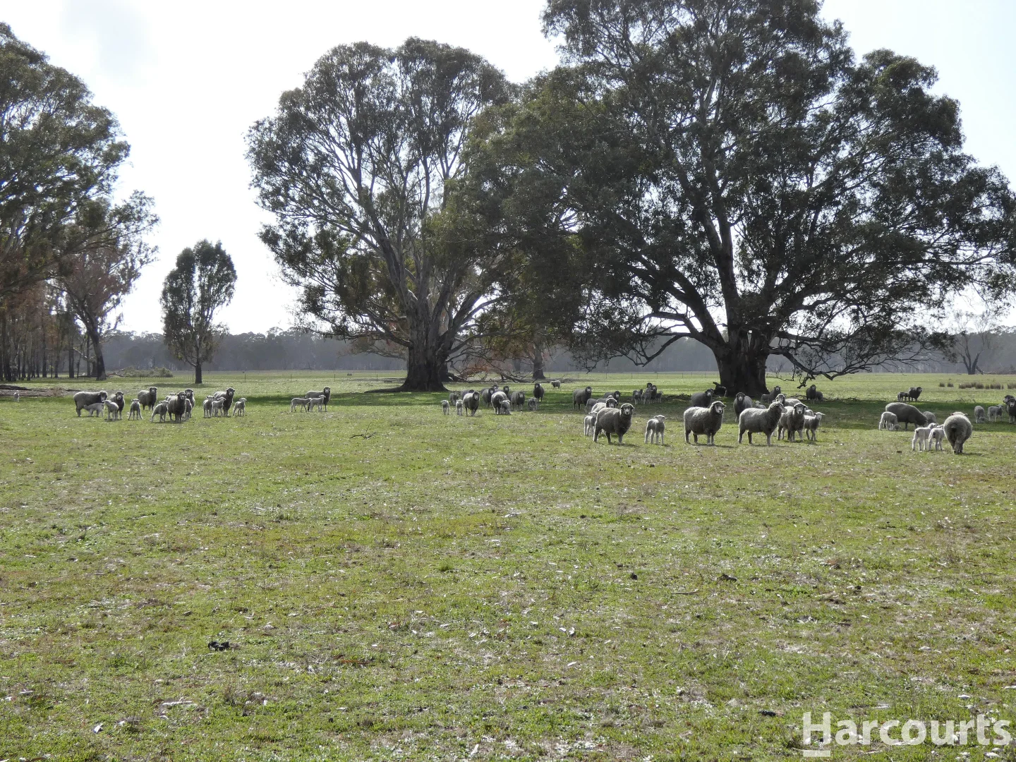 Additional image 2 of 6080 Western Highway, Dadswells Bridge VIC 3385