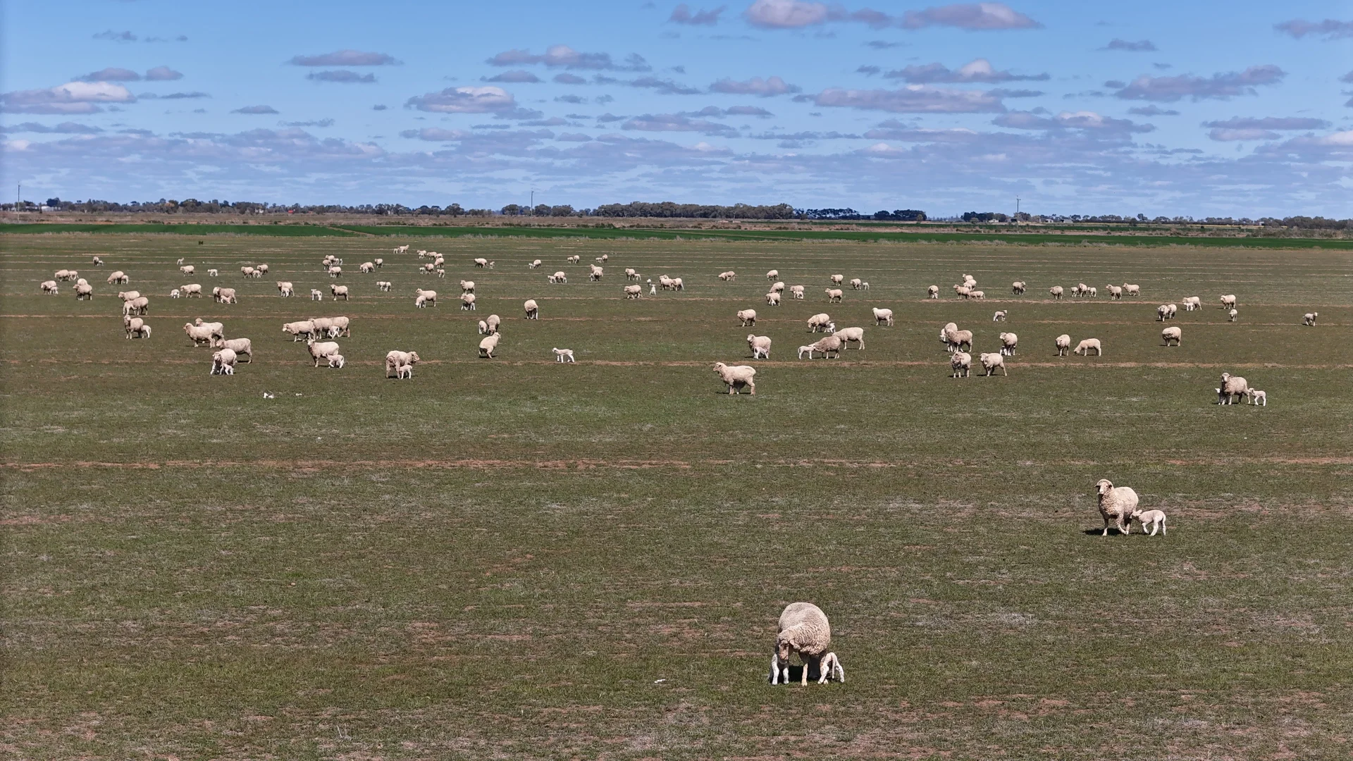 Additional image 18 of Farm 2526/408 Cashmere Road, Widgelli NSW 2680