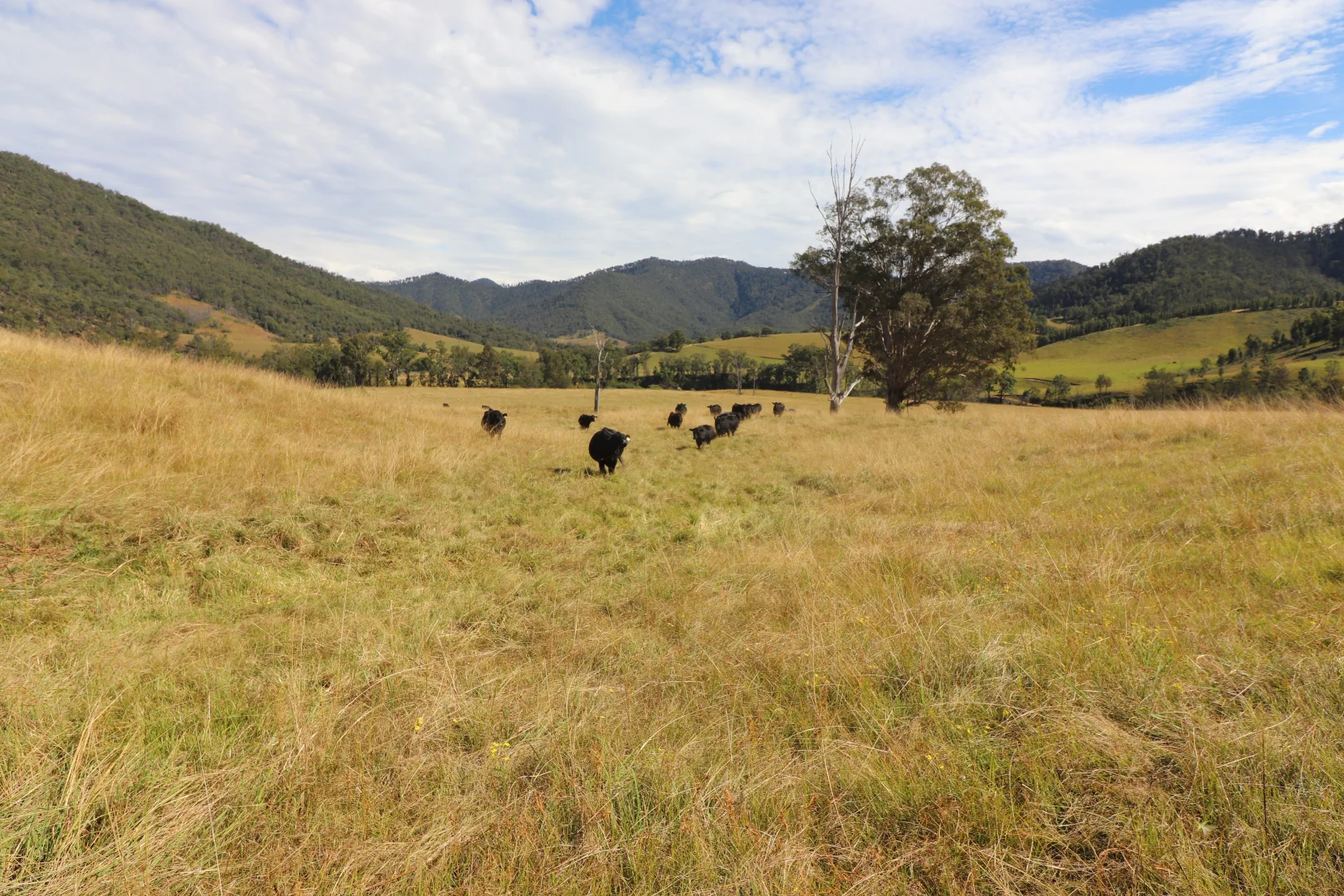Additional image 17 of 2 Lower Creek Rd, Lower Creek NSW 2440