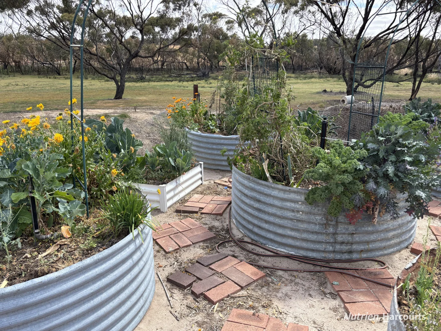 Additional image 36 of . 'Forrestine Farm', Cunderdin WA 6407