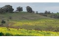 Additional image 54 of 5262 Alhambra Valley Rd, Martinez, CA, 94553