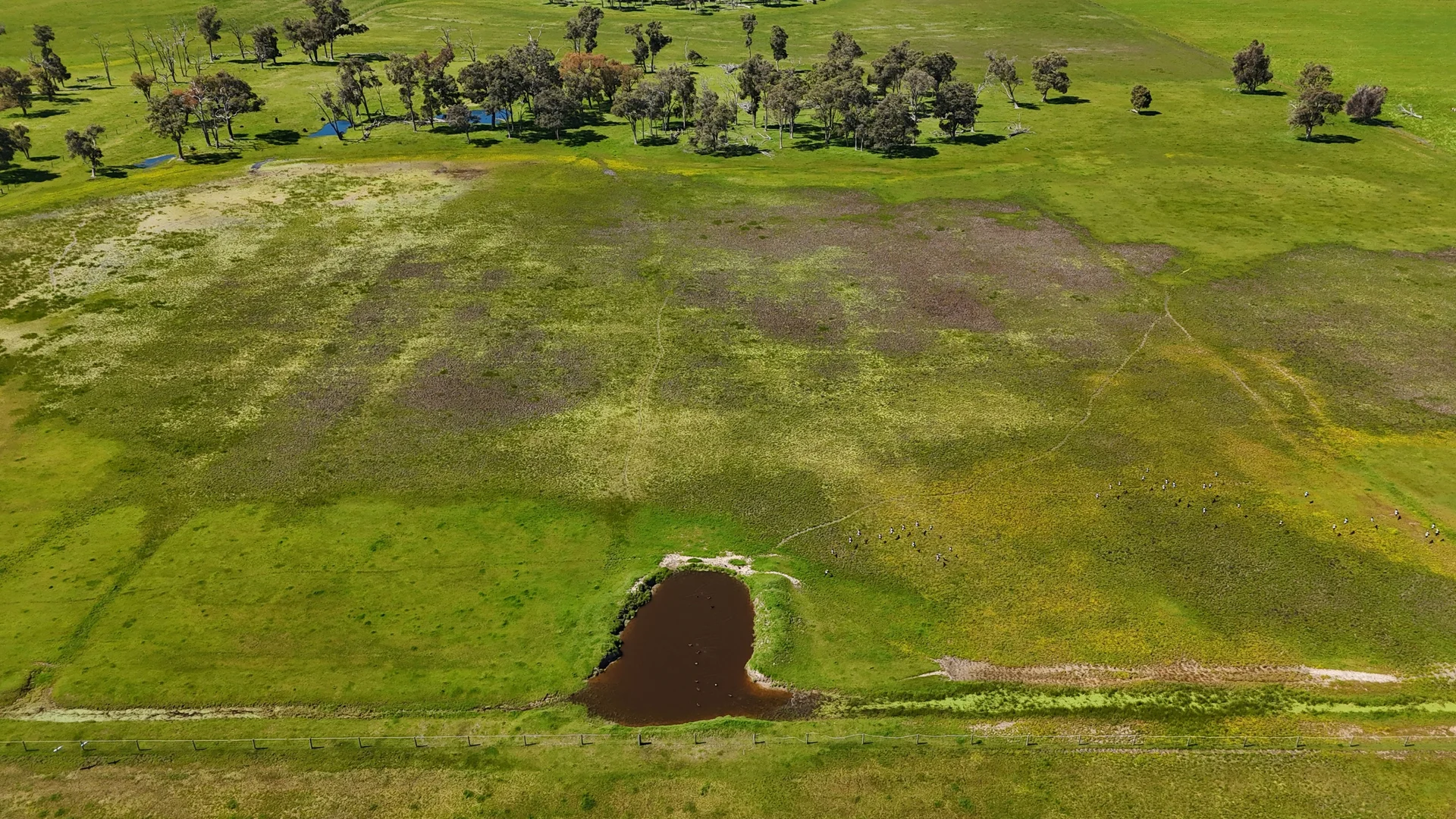 Additional image 12 of 39 Gibbs Road, Uduc WA 6220