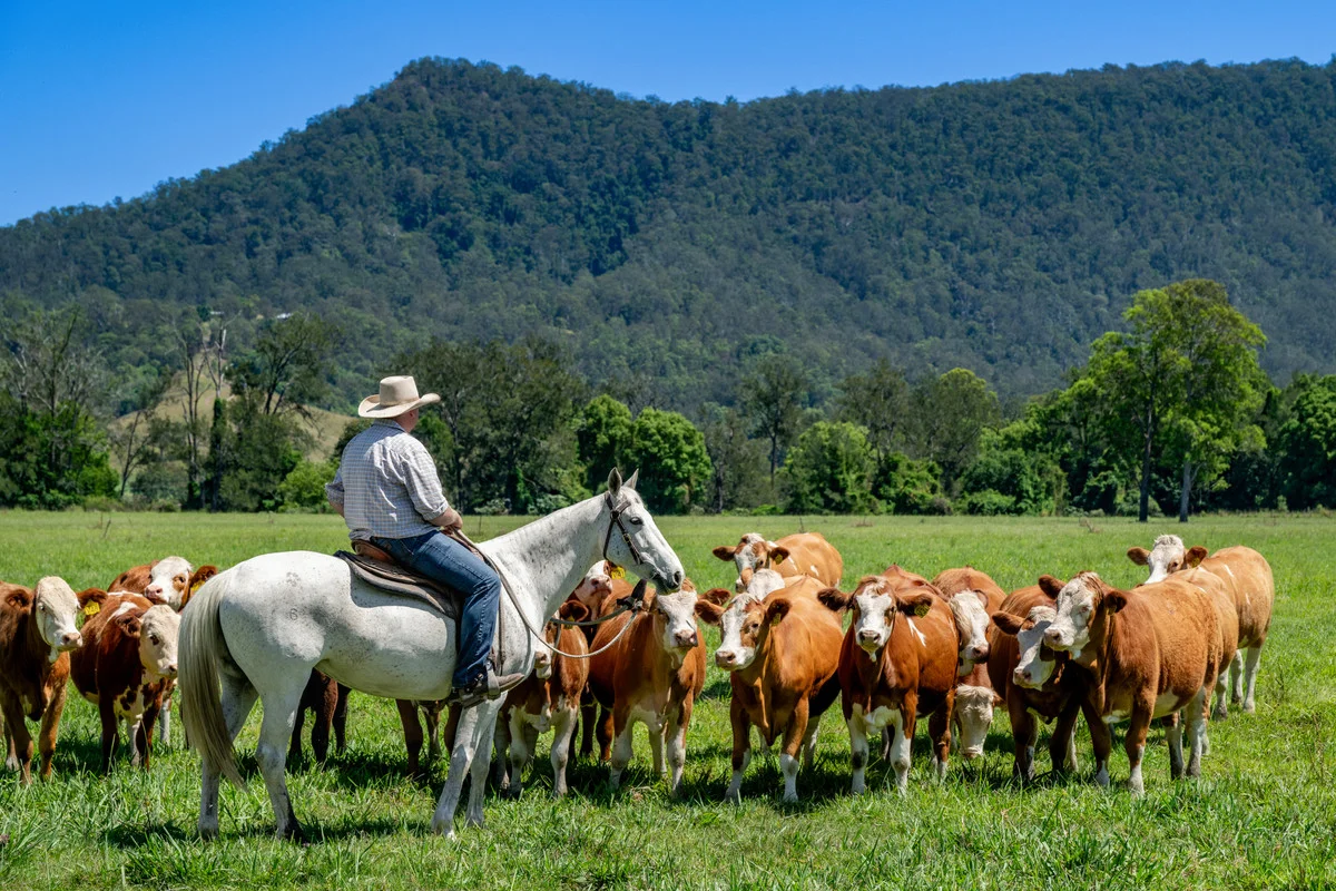 Additional image 25 of 800 Fawcetts Plain Road, Kyogle NSW 2474