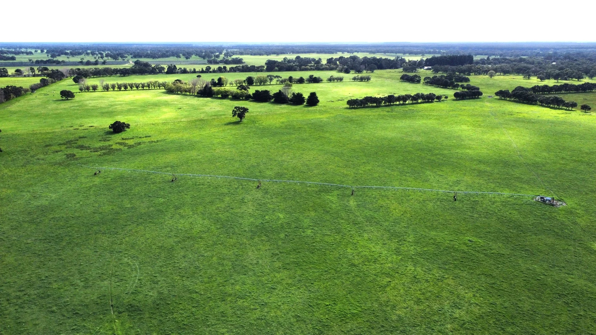 5422 Clay Wells Road, Millicent SA 5280