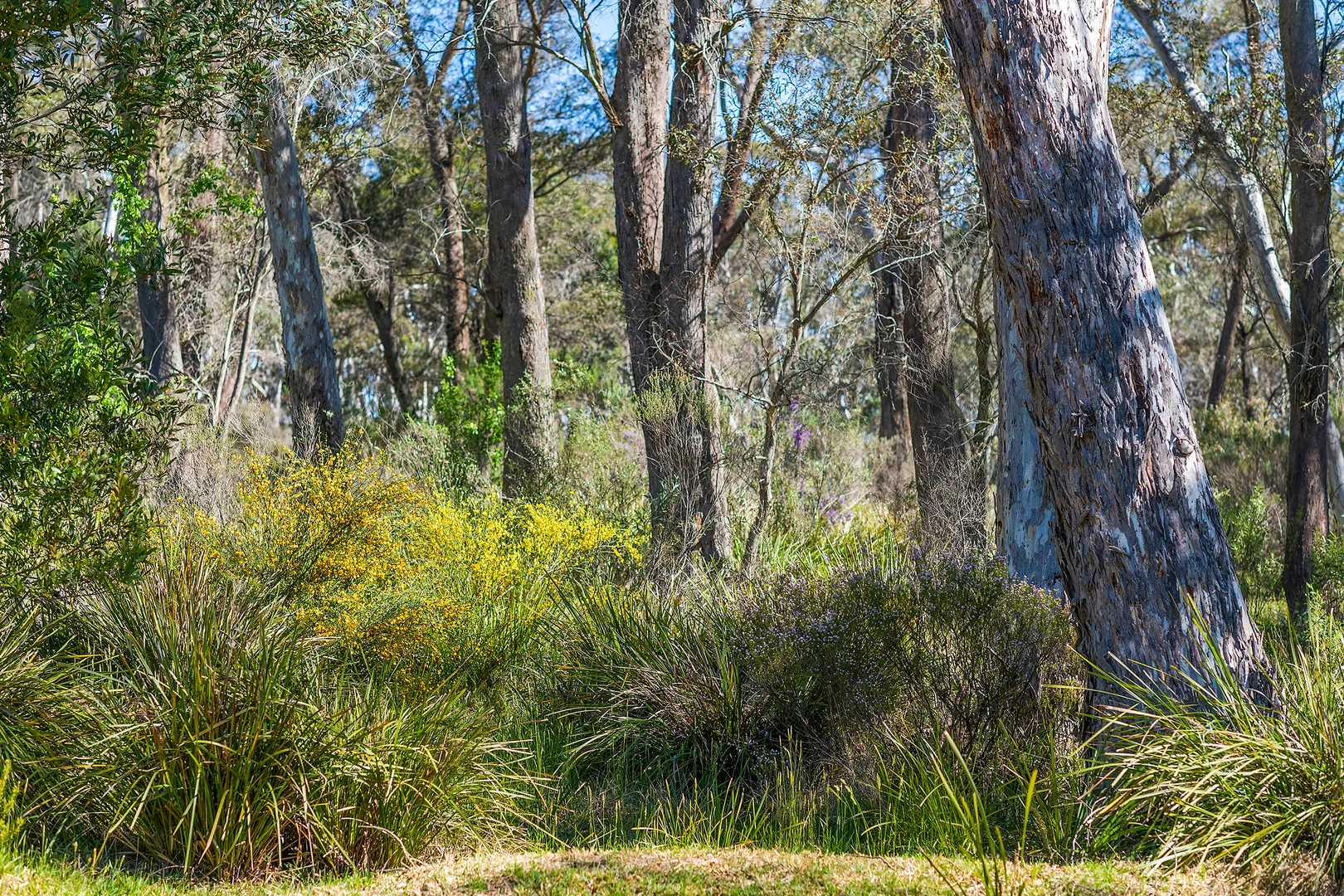 Additional image 40 of 630 Wombeyan Caves Road, High Range NSW 2575